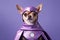 Chihuahua Dog Dressed As A Superhero On Lavender Color Background