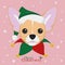 Chihuahua dog with green Santa`s hat