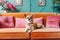 Chihuahua dog lying on orange sofa, cut pet waiting on couch in room, generative AI