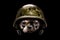 Chihuahua dog in a military helmet. Neural network AI generated