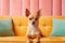 Chihuahua dog sits on sofa, portrait of cut pet lying on yellow couch, generative AI