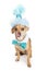Chihuahua Dog Wearing Blue Birthday Hat