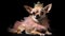 Chihuahua Dog Wearing A Princess Costume And A Tiara On Black Background. Generative AI