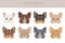 Chihuahua dogs clipart. Different coat color