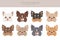 Chihuahua dogs different coat colors. Chihuahuas characters set