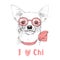 Chihuahua hand drawn portrait with glasses
