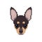 Chihuahua head in pixel art style.