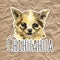 The Chihuahua is popular mini dog. Head of a toy terrier on watercolor background. Watercolor Animal collection: Dogs