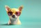 Chihuahua puppy dog in sunglass shade glasses isolated on solid pastel background, commercial, editorial. Generative AI