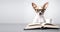 Chihuahua puppy with eyeglasses and opened book