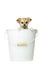 Chihuahua Puppy ia a big blue bucket