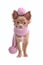 Chihuahua puppy with pink scarf and beret