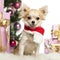 Chihuahua sitting wearing a Christmas scarf in front of Christmas decorations