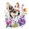 Chihuahua watercolor clipart on white background