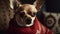 A chihuahua wearing a red sweater sitting on a couch created with Generative AI