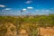 Chihuahuan Desert Windmill