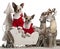 Chihuahuas, 1 year old, in Christmas sleigh