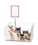 Chihuahuas in cage with white board