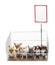 Chihuahuas in cage with white board