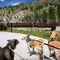 Chihuahuas exploring the great Rocky Mountains in Colorado