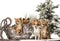 Chihuahuas in front of a Christmas scenery