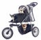 Chihuahuas in pushchair