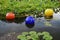 Chihuly at Bilmore sunning themselves in a frog pond