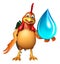 Chiken cartoon character with water drop