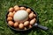 Chiken eggs and ostrich egg on pan