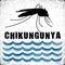 Chikungunya, Mosquito, standing water
