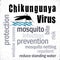 Chikungunya Virus, Mosquito, Word Cloud