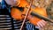 A child of 7 years playing the violin closeup.