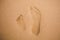 Child and adult footprints on sand beach