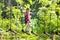 Child in adventure park. Kids climbing rope trail.