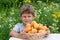 Child with an apricot harvest on background of wildflowers. cute boy shows large apricots in wicker basket.