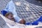 Child asleep in hammock