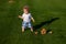 Child baby playing on sunny field, summer outdoor kids lifestyle. Happy baby boy learning to walk on grass outdoors.