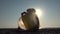 Child on Beach at Sunset, Kid, Portrait Face Watching Waves on Seashore