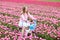 Child on bike in tulip field. Bicycle in Holland