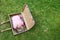 Child blond girl inside a suitcase on green grass lawn