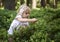 Child blond little girl picking fresh berries on blueberry field in forest.