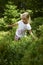 Child blond little girl picking fresh berries on blueberry field in forest.