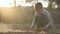 Child boy digging with a stick in the ground of black soil farm field at sunset.