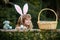 Child boy with easter eggs and basket on grass, hunting easter eggs. Happy easter day. Child with bunny ears.