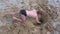 Child boy playing on sand beach digging shovel deep hole on summer vacation.