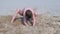 Child boy playing on sand beach digging shovel deep hole on summer vacation.