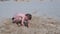 Child boy playing on sand beach digging shovel and trying to build sand tower.