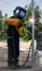 A child, a boy pretends to weld a fence. Welder`s costume, gloves, mask.