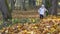 Child boy with raker tool walking garden covered with colorful autumn leaves