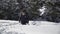 Child boy rolls and tumbles in the snow in the forest. Boy playing in the snow. Slow motion